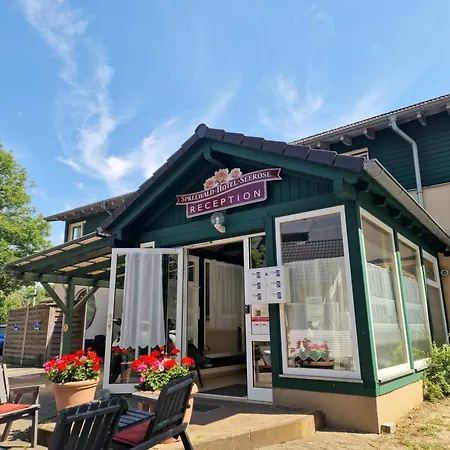 Spreewaldhotel Seerose بورغ