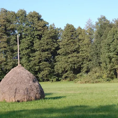 فندق Spreewaldhotel Seerose