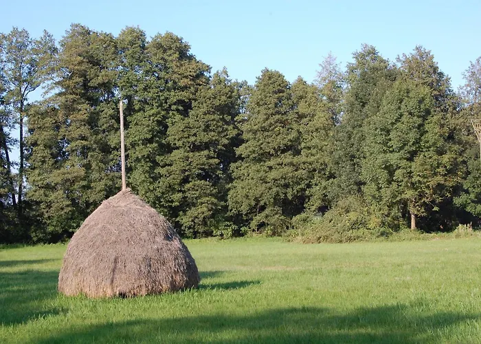 ホテル Spreewaldhotel Seerose